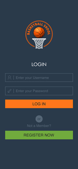 Basketball Login Screen