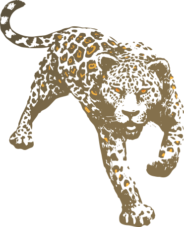 campesino leopard